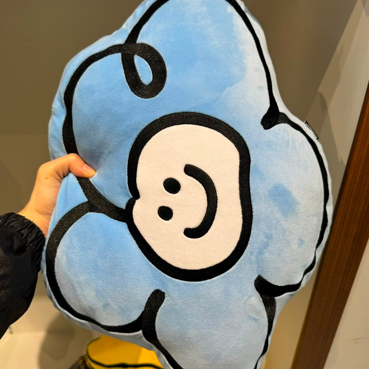 WACKY WILLY IS721 PILLOW