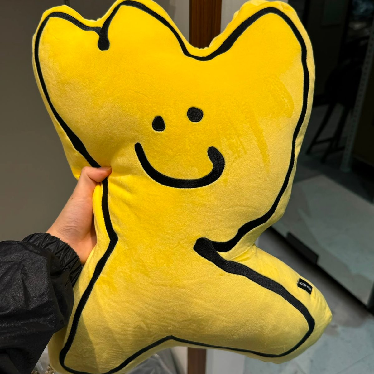 WACKY WILLY IS722 PILLOW